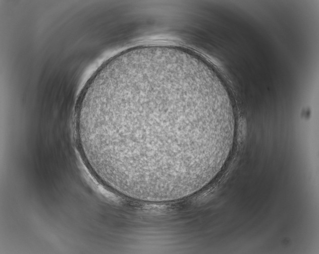 X0000114541470200911301150