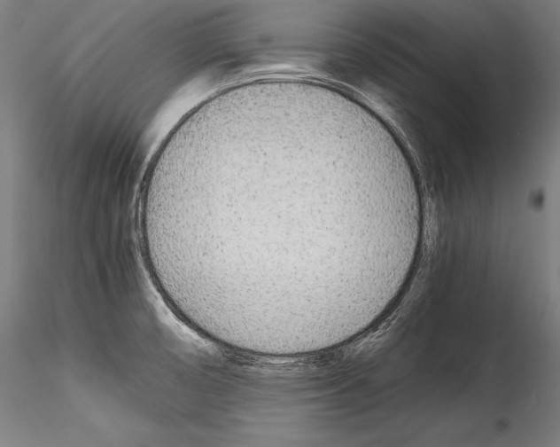 X0000114541474200911301150