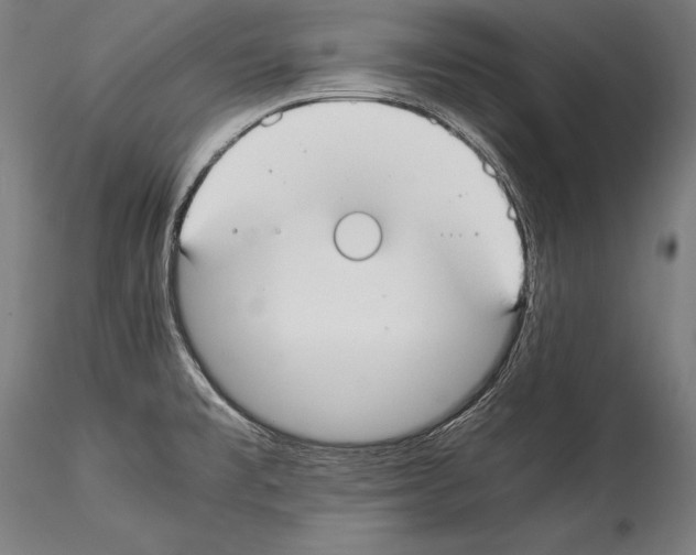 X0000114541477200911301150