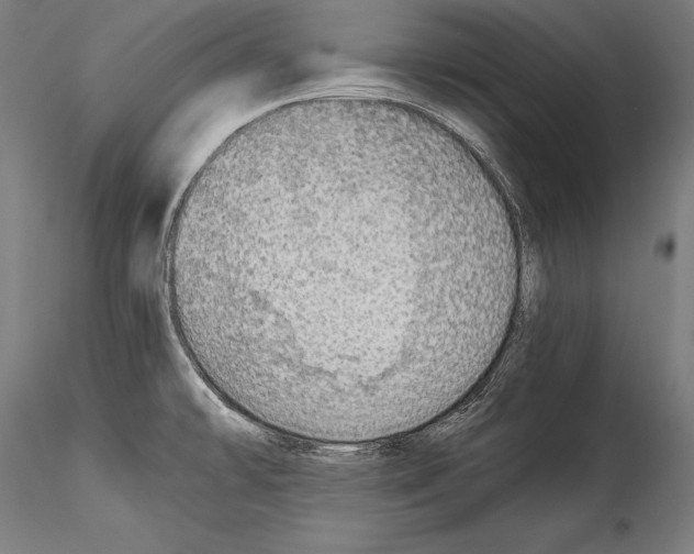 X0000114541478200911301150