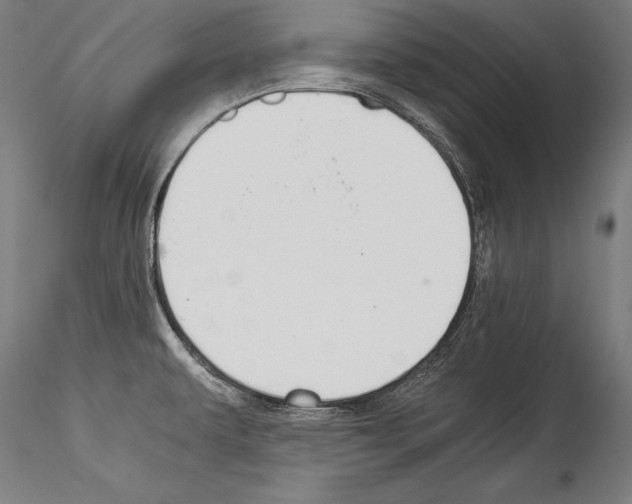 X0000114541479200911301150