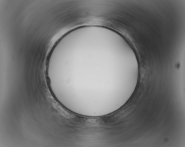 X0000114541480200911301150