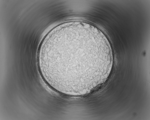 X0000114541482200911301150