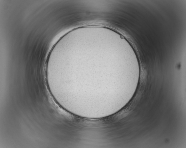 X0000114541486200911301150