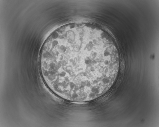 X0000114541487200911301150