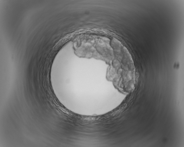 X0000114541489200911301149