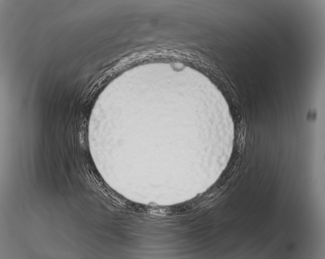 X0000114541490200911301149