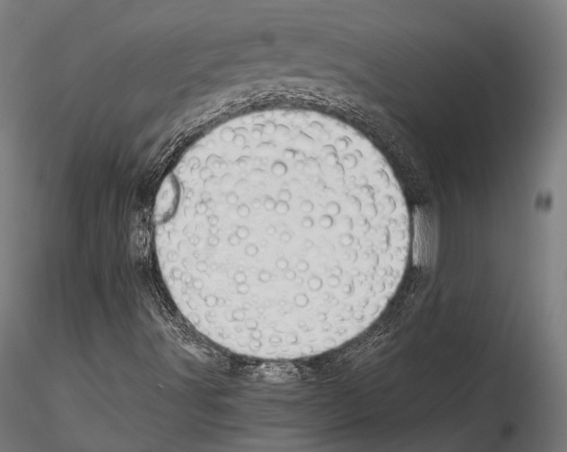 X0000114541491200911301149