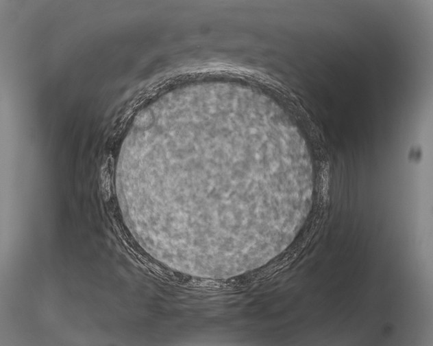 X0000114541493200911301149