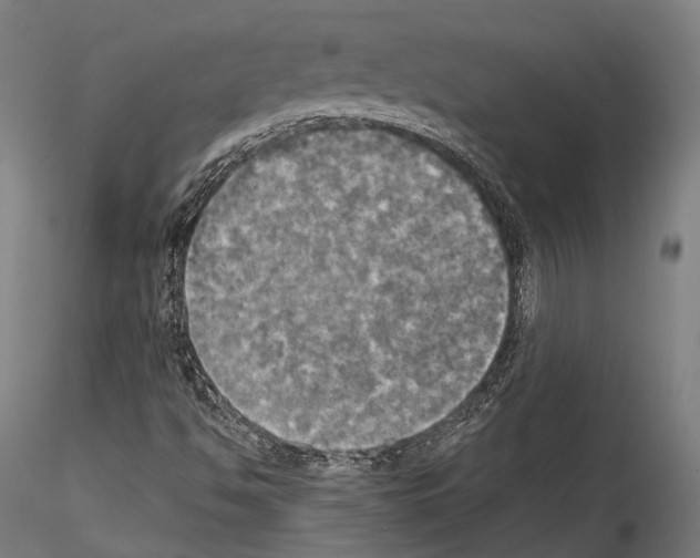 X0000114541494200911301149