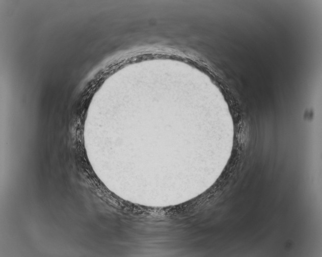 X0000114541495200911301149