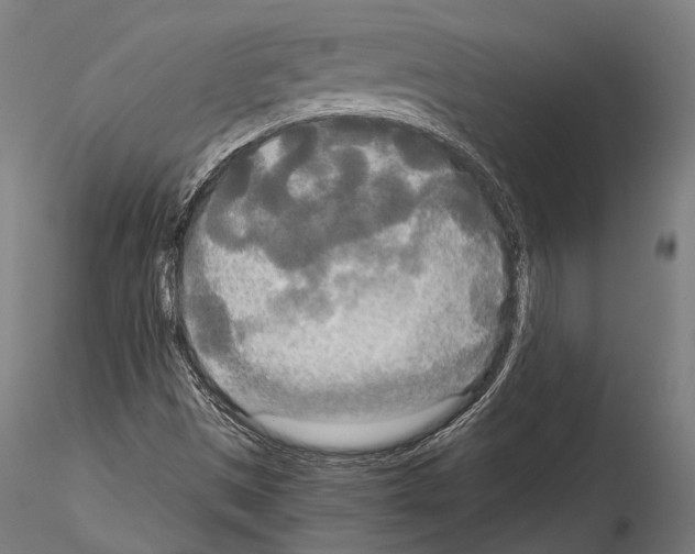 X0000114541497200911301149