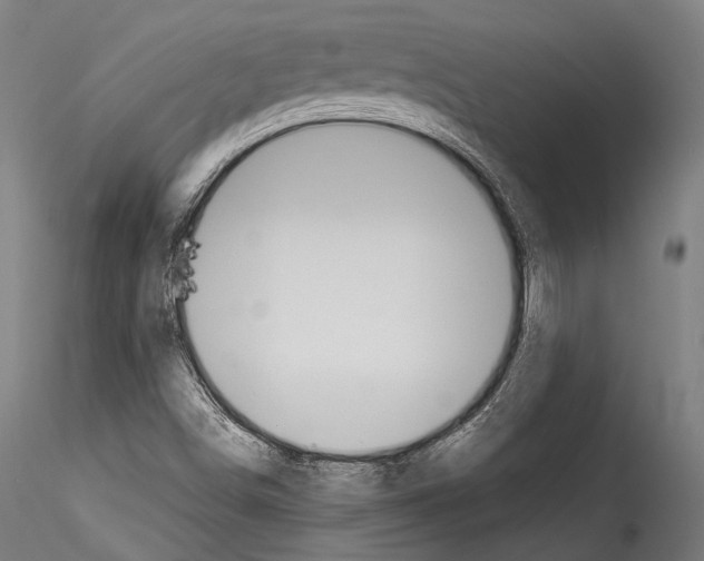 X0000114541498200911301149