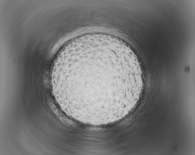 X0000114541499200911301149