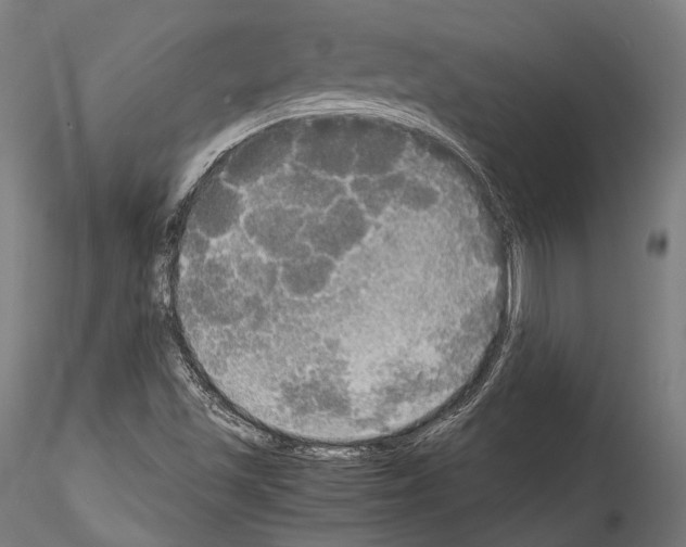 X0000114541501200911301149