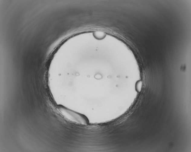 X0000114541502200911301149