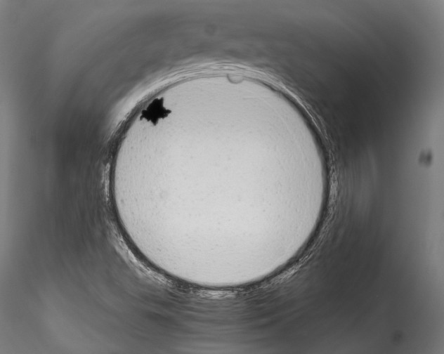 X0000114541503200911301149