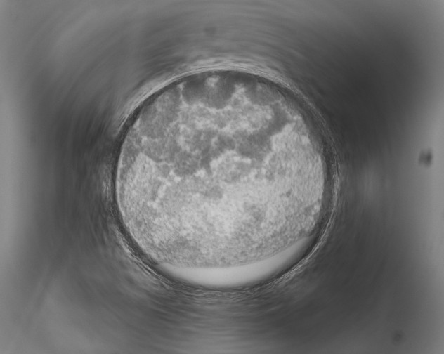 X0000114541505200911301149