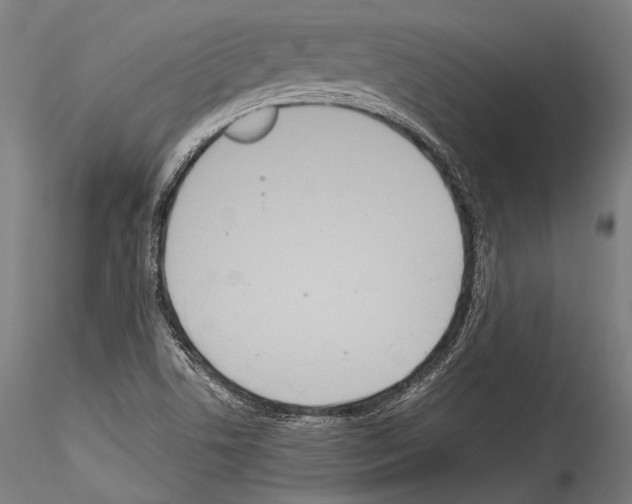 X0000114541506200911301149