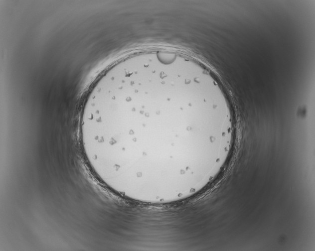 X0000114541507200911301149