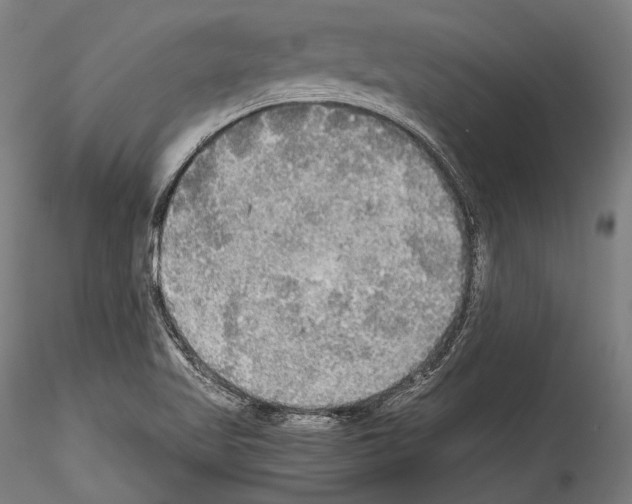 X0000114541509200911301149