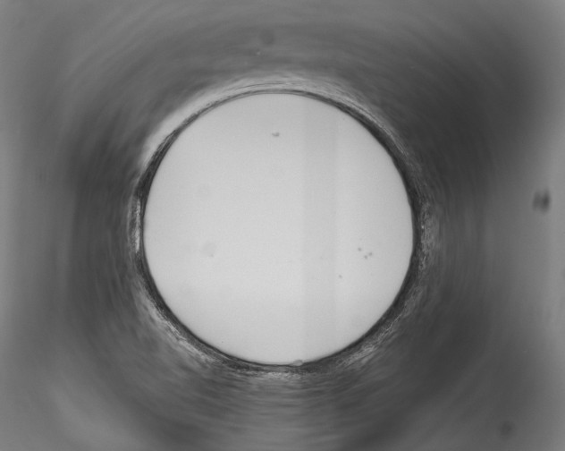 X0000114541510200911301149