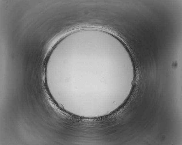 X0000114541511200911301149