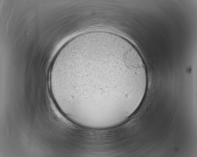 X0000114541515200911301149