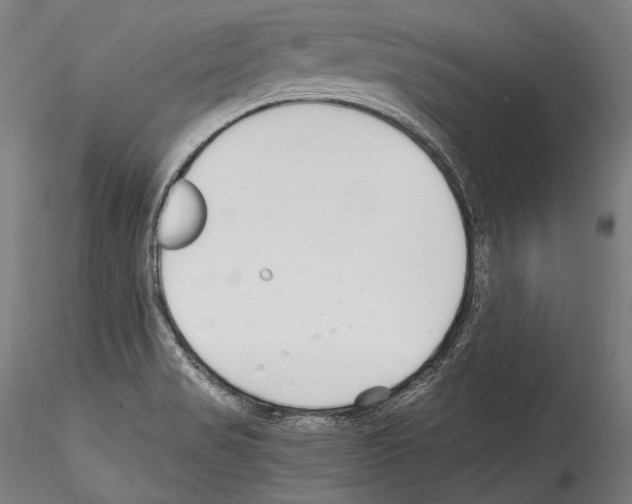 X0000114541517200911301149