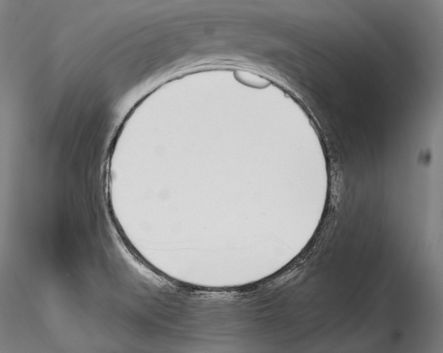 X0000114541519200911301149