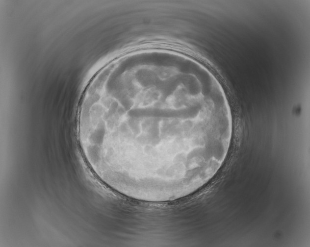 X0000114541522200911301149