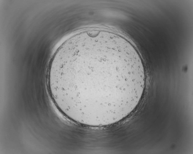 X0000114541523200911301149