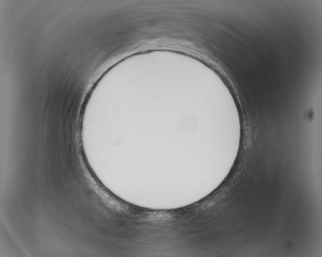 X0000114541525200911301149