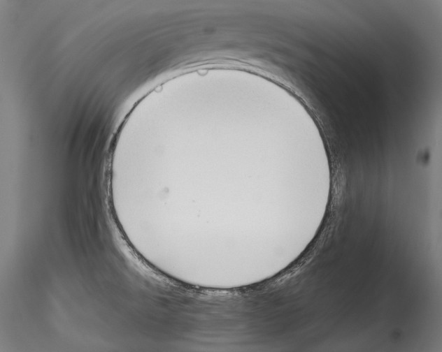 X0000114541526200911301149