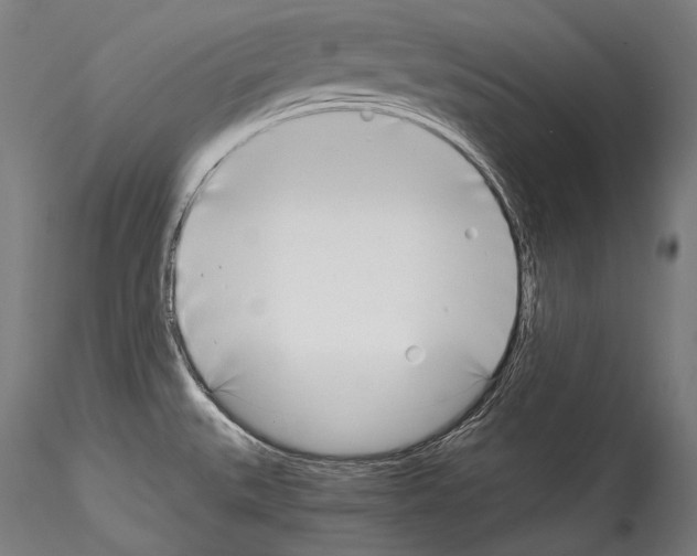 X0000114541527200911301150