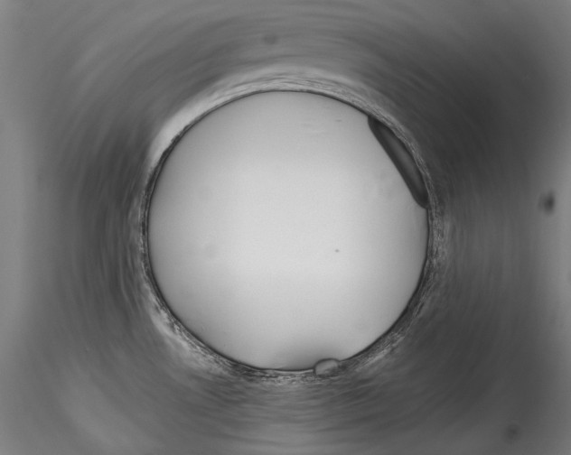 X0000114541530200911301150