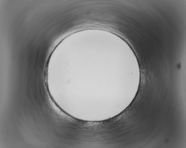 X0000114541531200911301150