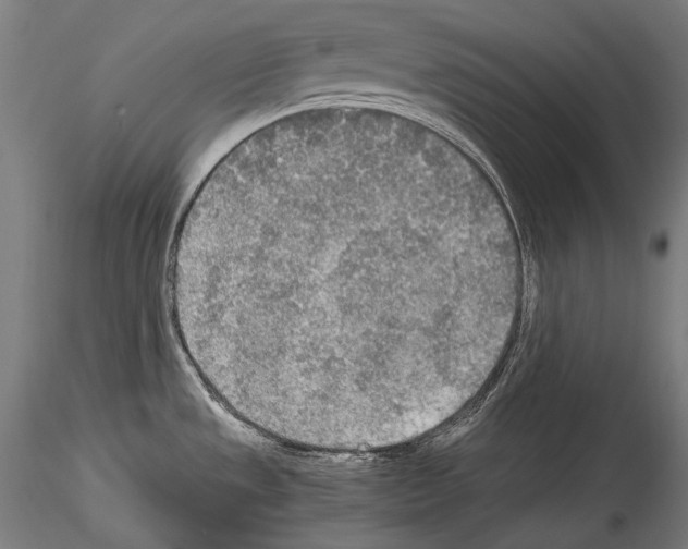 X0000114541533200911301150