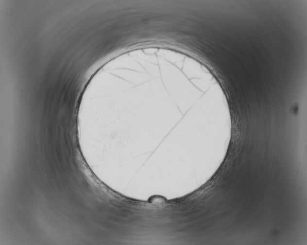 X0000114541534200911301150