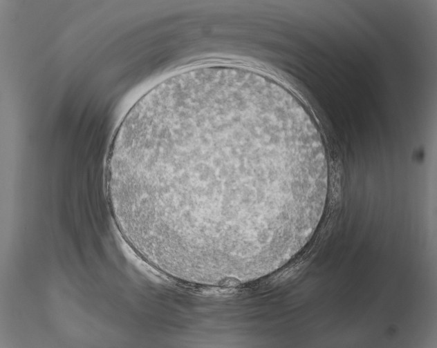 X0000114541535200911301150