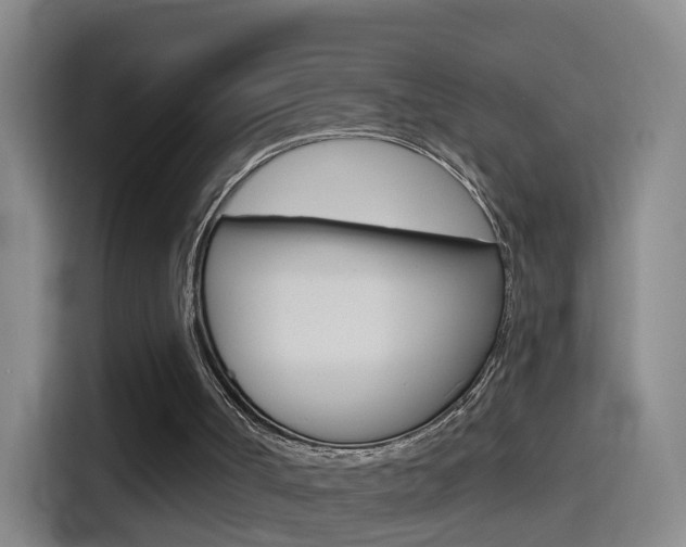 X0000114550002200910191000
