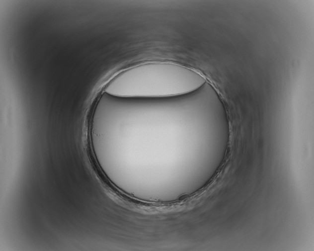 X0000114550005200910191000