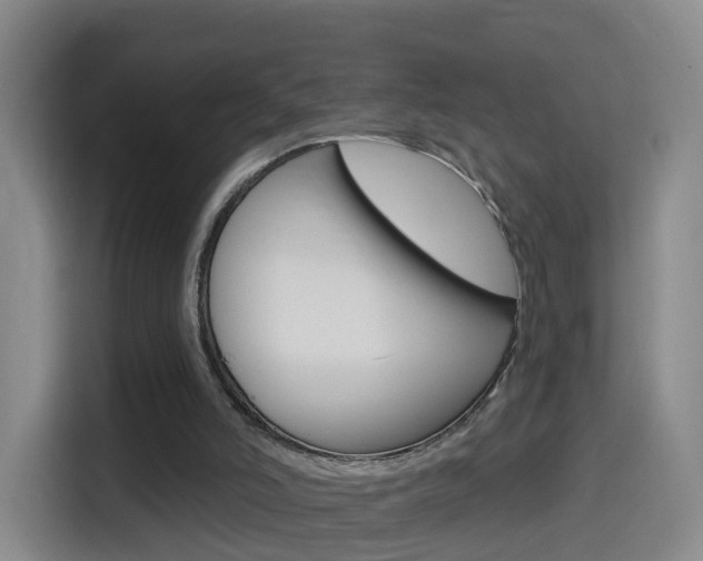 X0000114550006200910191000