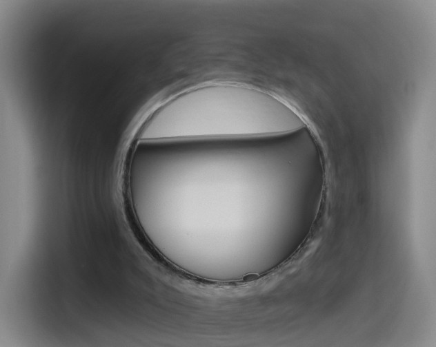 X0000114550007200910191000