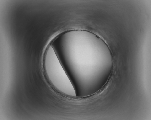X0000114550008200910191000