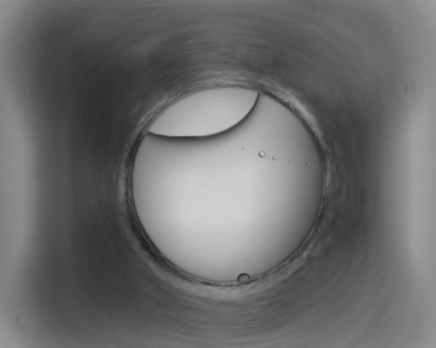 X0000114550010200910191000