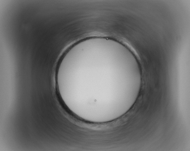 X0000114550011200910191000