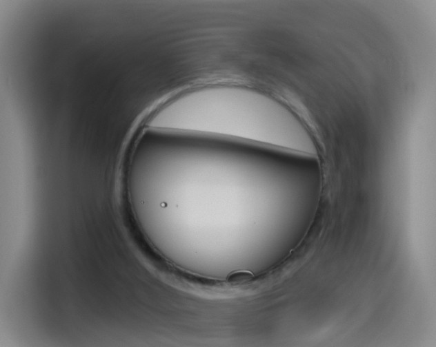 X0000114550012200910191000