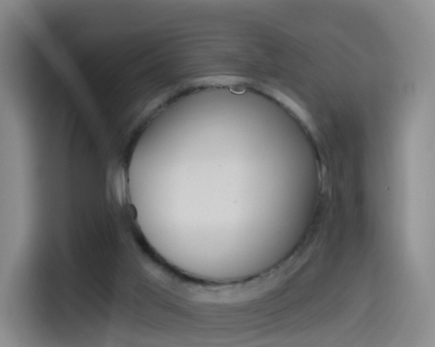 X0000114550013200910191000