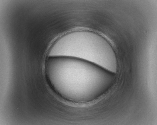 X0000114550015200910191000